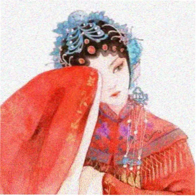 观众夜行动物的头像